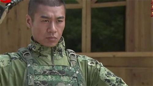 火凤凰电视剧,浴火重生，铸就辉煌