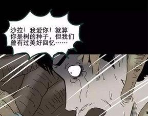 配偶树漫画,揭秘婚姻关系的奇妙树状图